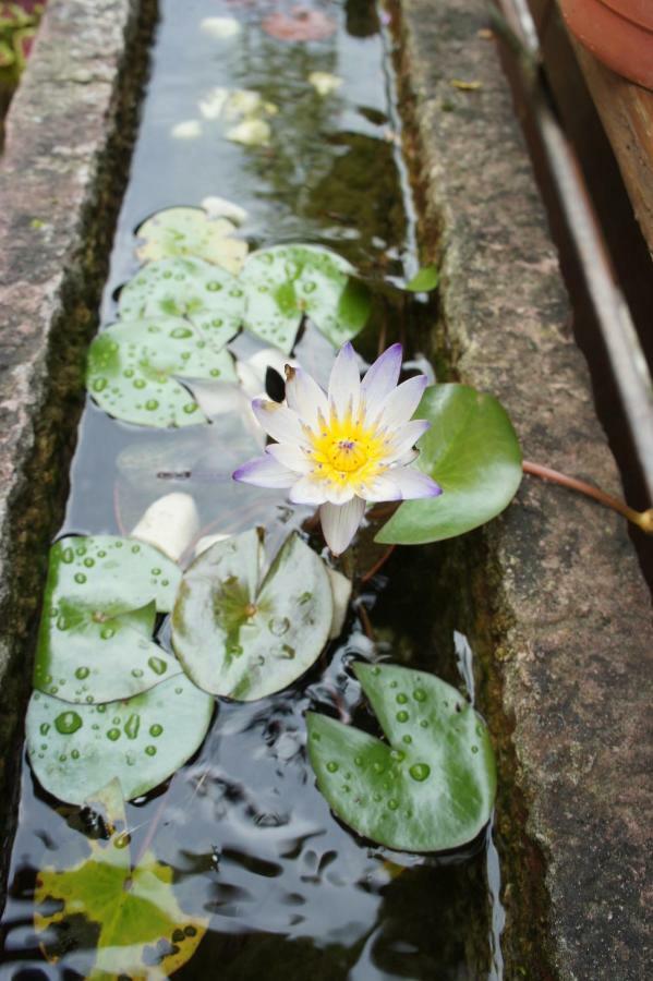 Wenquan Cheng-Ping Hot Spring Inn מראה חיצוני תמונה